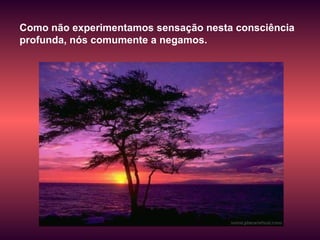 Como não experimentamos sensação nesta consciência profunda, nós comumente a negamos. 