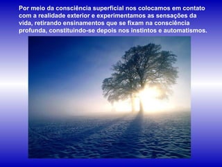 Por meio da consciência superficial nos colocamos em contato com a realidade exterior e experimentamos as sensações da vida, retirando ensinamentos que se fixam na consciência profunda, constituindo-se depois nos instintos e automatismos.  