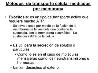 Métodos de transporte celular mediados
            por membrana
• Exocitosis: es un tipo de transporte activo que
  requiere mucho ATP.
   – Se lleva a cabo por medio de la fusión de la
     membrana de la vesícula que contiene la
     sustancia, con la membrana plasmática. La
     sustancia saldrá de la célula

    – Es útil para la secreción de solutos o
        partículas
          • Como lo es en el caso de moléculas
             mensajeras como los neurotransmisores u
             hormonas
    – Lanzar
Lunes, 14 de Mayo de desechos al exterior            62
2012
 