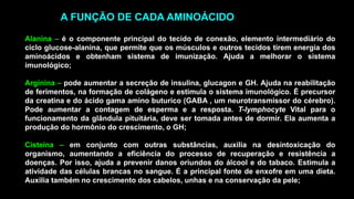 Alanina – é o componente principal do tecido de conexão, elemento intermediário do
ciclo glucose-alanina, que permite que os músculos e outros tecidos tirem energia dos
aminoácidos e obtenham sistema de imunização. Ajuda a melhorar o sistema
imunológico;
Arginina – pode aumentar a secreção de insulina, glucagon e GH. Ajuda na reabilitação
de ferimentos, na formação de colágeno e estimula o sistema imunológico. É precursor
da creatina e do ácido gama amino buturico (GABA , um neurotransmissor do cérebro).
Pode aumentar a contagem de esperma e a resposta. T-lymphocyte Vital para o
funcionamento da glândula pituitária, deve ser tomada antes de dormir. Ela aumenta a
produção do hormônio do crescimento, o GH;
Cisteína – em conjunto com outras substâncias, auxilia na desintoxicação do
organismo, aumentando a eficiência do processo de recuperação e resistência a
doenças. Por isso, ajuda a prevenir danos oriundos do álcool e do tabaco. Estimula a
atividade das células brancas no sangue. É a principal fonte de enxofre em uma dieta.
Auxilia também no crescimento dos cabelos, unhas e na conservação da pele;
A FUNÇÃO DE CADA AMINOÁCIDO
 