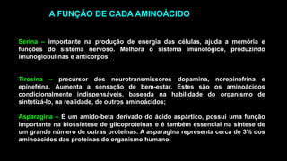 Serina – importante na produção de energia das células, ajuda a memória e
funções do sistema nervoso. Melhora o sistema imunológico, produzindo
imunoglobulinas e anticorpos;
Tirosina – precursor dos neurotransmissores dopamina, norepinefrina e
epinefrina. Aumenta a sensação de bem-estar. Estes são os aminoácidos
condicionalmente indispensáveis, baseada na habilidade do organismo de
sintetizá-lo, na realidade, de outros aminoácidos;
Asparagina – É um amido-beta derivado do ácido aspártico, possui uma função
importante na biossíntese de glicoproteínas e é também essencial na síntese de
um grande número de outras proteínas. A asparagina representa cerca de 3% dos
aminoácidos das proteínas do organismo humano.
A FUNÇÃO DE CADA AMINOÁCIDO
 