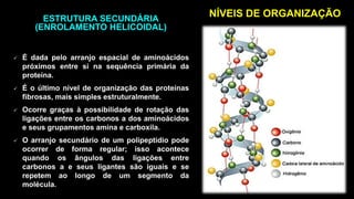ESTRUTURA SECUNDÁRIA
(ENROLAMENTO HELICOIDAL)
 