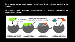 As enzimas atuam ainda como reguladoras deste conjunto complexo de
reações.
As enzimas são, portanto, consideradas as unidades funcionais do
metabolismo celular.
 