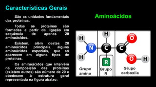 Características Gerais
 