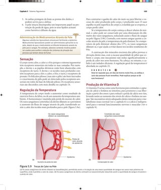 Capítulo 5 Sistema Tegumentar 163
5. As unhas protegem da lesão as pontas dos dedos, e
podem servir para a defesa.
6. A pele intacta desempenha um importante papel na pre-
venção da perda de água, pois os seus lípidos actuam
como barreira à difusão da água.
Para contrariar o ganho de calor do meio ou para libertar o ex-
cesso de calor produzido pelo corpo, é produzido suor. O suor
espalha-se pela superfície do corpo e,à medida que se evapora,o
corpo perde calor.
Se a temperatura do corpo começa a descer abaixo do nor-
mal, o calor pode ser conservado por uma diminuição do diâ-
metro dos vasos sanguíneos, reduzindo assim o fluxo do sangue
na pele (figura 5.9b). Contudo, com menos sangue quente a cir-
cular através da pele,a temperatura da pele diminui.Se a tempe-
ratura da pele diminuir abaixo dos 15°C, os vasos sanguíneos
dilatam-se, o que ajuda a evitar danos nos tecidos resultantes do
frio.
A contracção dos músculos erectores dos pêlos provoca a
elevação destes mas, com a escassa quantidade de pêlos que co-
brem o corpo, este mecanismo não reduz significativamente a
perda de calor nos seres humanos. Na cabeça, no entanto, o ca-
belo é um isolador eficiente. A regulação geral da temperatura é
abordada no capítulo 25.
E X E R C Í C I O
Deve ter reparado que, em dias de Inverno muito frios, as orelhas e
nariz das pessoas ficam vermelhos. Pode explicar porque se dá
este fenómeno?
Produção de Vitamina D
A vitamina D actua como uma hormona para estimular a capta-
ção de cálcio e fosfatos no intestino, para promover a sua liber-
tação a partir dos ossos e para reduzir a perda de cálcio nos rins,
levando assim ao aumento dos níveis de cálcio e fosfatos no san-
gue.São necessários níveis adequados destes minerais para o me-
tabolismo ósseo normal (ver o capítulo 6) e o cálcio é indispen-
sável para o normal funcionamento nervoso e muscular (ver o
capítulo 9).
Os vasos sanguíneos
dilatam-se (vasodilatação)
Epiderme
Perda de
calor através
da epiderme
Aumento da perda de calor
Constrição dos vasos
sanguíneos (vasoconstrição)
Conservação do calor
Epiderme
Figura 5.9 Trocas de Calor na Pele
(a) Os vasos sanguíneos da derme dilatam-se (vasodilatação), permitindo assim a circulação de uma maior quantidade de sangue nos vasos mais próximos da
superfície, onde é perdido o calor do corpo. (b) Os vasos sanguíneos da derme contraem-se (vasoconstrição) reduzindo assim a quantidade de sangue circulante e
a perda de calor.
(a) (b)
Administração de Medicamentos Através da Pele
Algumas substâncias lipossolúveis atravessam facilmente a epiderme.
Medicamentos lipossolúveis podem ser administrados aplicando-os na
pele, depois do que o medicamento se difunde lentamente através da
pele para o sangue. Por exemplo, adesivos contendo nicotina podem
ser usados para auxiliar a redução dos sintomas de privação das
pessoas que tentam deixar de fumar.
Sensação
O corpo sente a dor,o calor e o frio porque o sistema tegumentar
tem receptores sensoriais em todas as suas camadas. Por exem-
plo, a derme e as papilas dérmicas estão bem abastecidas com
receptores do tacto. A derme e os tecidos mais profundos con-
têm receptores para a dor, o calor, o frio, o tacto, e receptores de
pressão.Os folículos pilosos (mas não o pêlo) são bem inervados
e o movimento do pêlo pode ser detectado pelos receptores sen-
soriais em redor da base do folículo piloso. Os receptores senso-
riais são discutidos com mais detalhe no capítulo 14.
Regulação da Temperatura
A temperatura do corpo tende a aumentar como resultado de
exercício físico,da febre,ou de um aumento da temperatura am-
biente. A homeostasia é mantida pela perda do excesso de calor.
Os vasos sanguíneos (arteríolas) da derme dilatam-se e permitem
o aumento do fluxo de sangue através da pele, transferindo as-
sim o calor dos tecidos mais profundos para a pele (figura 5.9a).
 
