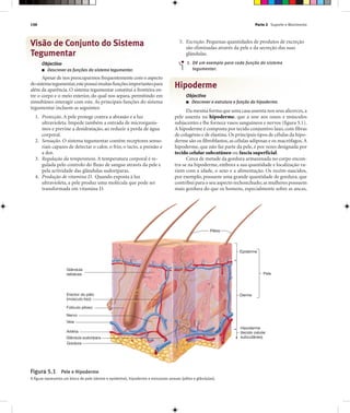 Parte 2 Suporte e Movimento150
Visão de Conjunto do Sistema
Tegumentar
Objectivo
■ Descrever as funções do sistema tegumentar.
Apesar de nos preocuparmos frequentemente com o aspecto
dosistemategumentar,estepossuimuitasfunçõesimportantespara
além da aparência. O sistema tegumentar constitui a fronteira en-
tre o corpo e o meio exterior, do qual nos separa, permitindo em
simultâneo interagir com este. As principais funções do sistema
tegumentar incluem as seguintes:
1. Protecção. A pele protege contra a abrasão e a luz
ultravioleta. Impede também a entrada de microrganis-
mos e previne a desidratação, ao reduzir a perda de água
corporal.
2. Sensação. O sistema tegumentar contém receptores senso-
riais capazes de detectar o calor, o frio, o tacto, a pressão e
a dor.
3. Regulação da temperatura. A temperatura corporal é re-
gulada pelo controlo do fluxo de sangue através da pele e
pela actividade das glândulas sudoríparas.
4. Produção de vitamina D. Quando exposta à luz
ultravioleta, a pele produz uma molécula que pode ser
transformada em vitamina D.
5. Excreção. Pequenas quantidades de produtos de excreção
são eliminadas através da pele e da secreção das suas
glândulas.
1. Dê um exemplo para cada função do sistema
tegumentar.
Hipoderme
Objectivo
■ Descrever a estrutura e função da hipoderme.
Da mesma forma que uma casa assenta nos seus alicerces,a
pele assenta na hipoderme, que a une aos ossos e músculos
subjacentes e lhe fornece vasos sanguíneos e nervos (figura 5.1).
A hipoderme é composta por tecido conjuntivo laxo, com fibras
de colagénio e de elastina.Os principais tipos de células da hipo-
derme são os fibroblastos, as células adiposas e os macrófagos.A
hipoderme, que não faz parte da pele, é por vezes designada por
tecido celular subcutâneo ou fascia superficial.
Cerca de metade da gordura armazenada no corpo encon-
tra-se na hipoderme, embora a sua quantidade e localização va-
riem com a idade, o sexo e a alimentação. Os recém-nascidos,
por exemplo, possuem uma grande quantidade de gordura, que
contribui para o seu aspecto rechonchudo; as mulheres possuem
mais gordura do que os homens, especialmente sobre as ancas,
Figura 5.1 Pele e Hipoderme
A figura representa um bloco de pele (derme e epiderme), hipoderme e estruturas anexas (pêlos e glândulas).
Pêlos
Glândula
sebácea
Erector do pêlo
(músculo liso)
Folículo piloso
Veia
Artéria
Gordura
Nervo
Glândula sudorípara
Epiderme
Pele
Derme
Hipoderme
(tecido celular
subcutâneo)
 