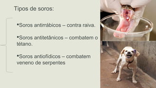 Tipos de soros:
Soros antirrábicos – contra raiva.
Soros antitetânicos – combatem o
tétano.
Soros antiofídicos – combatem
veneno de serpentes
 