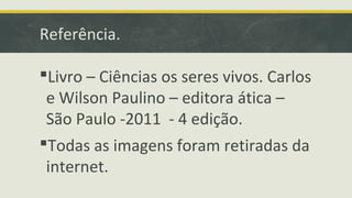 Referência.
Livro – Ciências os seres vivos. Carlos
e Wilson Paulino – editora ática –
São Paulo -2011 - 4 edição.
Todas as imagens foram retiradas da
internet.
 