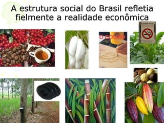 A estrutura social do Brasil refletia fielmente a realidade econômica 
