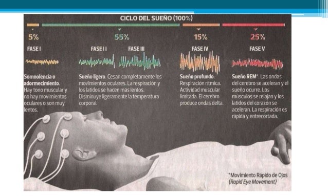 sueño, ondas cerebrales, epilepsia y psicosis