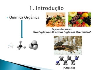  Química Orgânica
Expressões como:
Lixo Orgânico e Alimentos Orgânicos São corretos?
Putrescina
 