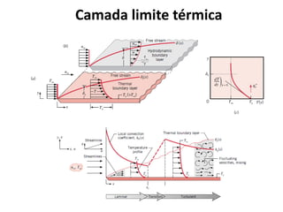 Camada limite térmica
 