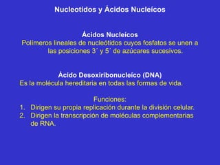 Nucleotidos y Ácidos Nucleícos


                    Ácidos Nucleícos
Polímeros lineales de nucleótidos cuyos fosfatos se unen a
        las posiciones 3´ y 5´ de azúcares sucesivos.


            Ácido Desoxiribonucleíco (DNA)
Es la molécula hereditaria en todas las formas de vida.

                          Funciones:
1. Dirigen su propia replicación durante la división celular.
2. Dirigen la transcripción de moléculas complementarias
   de RNA.
 