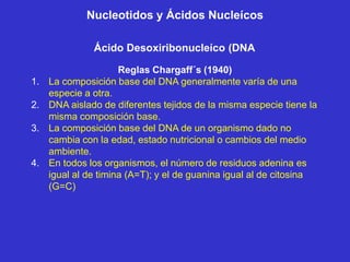 Nucleotidos y Ácidos Nucleícos

               Ácido Desoxiribonucleíco (DNA

                      Reglas Chargaff´s (1940)
1.   La composición base del DNA generalmente varía de una
     especie a otra.
2.   DNA aislado de diferentes tejidos de la misma especie tiene la
     misma composición base.
3.   La composición base del DNA de un organismo dado no
     cambia con la edad, estado nutricional o cambios del medio
     ambiente.
4.   En todos los organismos, el número de residuos adenina es
     igual al de timina (A=T); y el de guanina igual al de citosina
     (G=C)
 