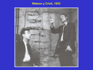 Watson y Crick, 1953
 