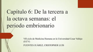 Capítulo 6: De la tercera a
la octava semanas: el
periodo embrionario
VII ciclo de Medicina Humana en la Universidad Cesar Vallejo
(UCV)
FUENTES JUÁREZ, CRISTOPHER LUIS
 