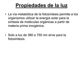 Propiedades de la luz
• La vía metabólica de la fotosíntesis permite a los
  organismos utilizar la energía solar para la
  síntesis de moléculas orgánicas a partir de
  materia prima inorgánica.

• Solo a luz de 380 a 750 nm sirve para la
  fotosíntesis.
 