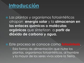    Las plantas y organismos fotosintéticos
    atrapan energía solar y la almacenan en
    los enlaces químicos o moléculas
    orgánicas que sintetizan a partir de
    dióxido de carbono y agua.

   Este proceso se conoce como fotosíntesis.
    › Esla forma de alimentación que nutre las
     plantas, organismos fotosintéticos, al hombre
     y la mayor de los seres vivos sobre la Tierra.
 
