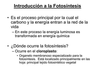 Introducción a la Fotosíntesis

  • Es el proceso principal por la cual el
    carbono y la energía entran a la red de la
    vida
        – En este proceso la energía luminosa es
          transformada en energía química

  • ¿Dónde ocurre la fotosíntesis?
        – Ocurre en el cloroplasto:
               • Organelo membranoso especializado para la
                 fotosíntesis. Está localizado principalmente en las
                 hoja: principal tejido fotosintético vegetal
Martes, 15 de Mayo de 2012                                        30
 