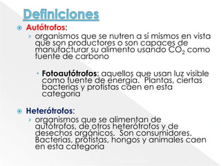    Autótrofos:
    › organismos que se nutren a sí mismos en vista
      que son productores o son capaces de
      manufacturar su alimento usando CO2 como
      fuente de carbono

       Fotoautótrofos: aquellos que usan luz visible
        como fuente de energía. Plantas, ciertas
        bacterias y protistas caen en esta
        categoría

   Heterótrofos:
    › organismos que se alimentan de
      autótrofos, de otros heterótrofos y de
      desechos orgánicos. Son consumidores.
      Bacterias, protistas, hongos y animales caen
      en esta categoría
                            Martes, 15 de Mayo de 2012   4
 