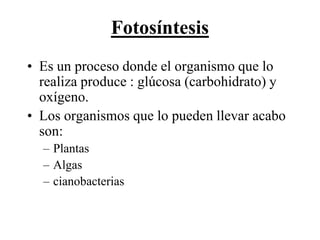 Fotosíntesis
• Es un proceso donde el organismo que lo
  realiza produce : glúcosa (carbohidrato) y
  oxígeno.
• Los organismos que lo pueden llevar acabo
  son:
  – Plantas
  – Algas
  – cianobacterias
 