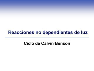 Reacciones no dependientes de luz

      Ciclo de Calvin Benson
 