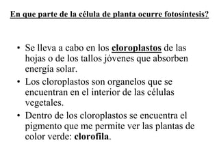 En que parte de la célula de planta ocurre fotosíntesis?



 • Se lleva a cabo en los cloroplastos de las
   hojas o de los tallos jóvenes que absorben
   energía solar.
 • Los cloroplastos son organelos que se
   encuentran en el interior de las células
   vegetales.
 • Dentro de los cloroplastos se encuentra el
   pigmento que me permite ver las plantas de
   color verde: clorofila.
 