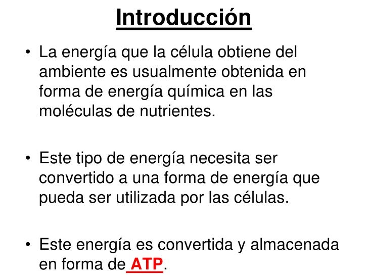 ¿Como liberan las células energía química?