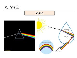 2. Visão
Visão
 