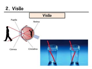 2. Visão
Visão
 