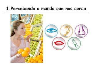 1.Percebendo o mundo que nos cerca
 