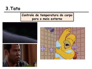 3.Tato
Controle de temperatura do corpo
para o meio externo
 
