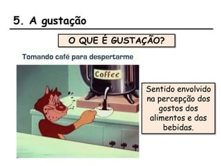 5. A gustação
O QUE É GUSTAÇÃO?
Sentido envolvido
na percepção dos
gostos dos
alimentos e das
bebidas.
 