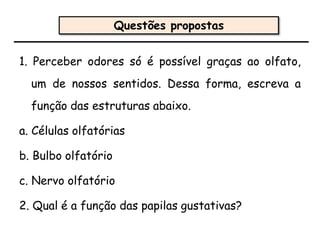 1. Perceber odores só é possível graças ao olfato,
um de nossos sentidos. Dessa forma, escreva a
função das estruturas abaixo.
a. Células olfatórias
b. Bulbo olfatório
c. Nervo olfatório
2. Qual é a função das papilas gustativas?
Questões propostas
 