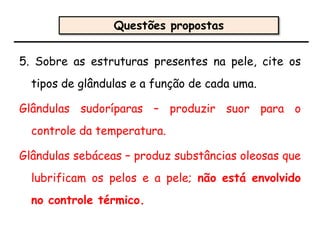 5. Sobre as estruturas presentes na pele, cite os
tipos de glândulas e a função de cada uma.
Glândulas sudoríparas – produzir suor para o
controle da temperatura.
Glândulas sebáceas – produz substâncias oleosas que
lubrificam os pelos e a pele; não está envolvido
no controle térmico.
Questões propostas
 