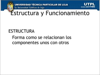Estructura y Funcionamiento ESTRUCTURA Forma como se relacionan los componentes unos con otros 