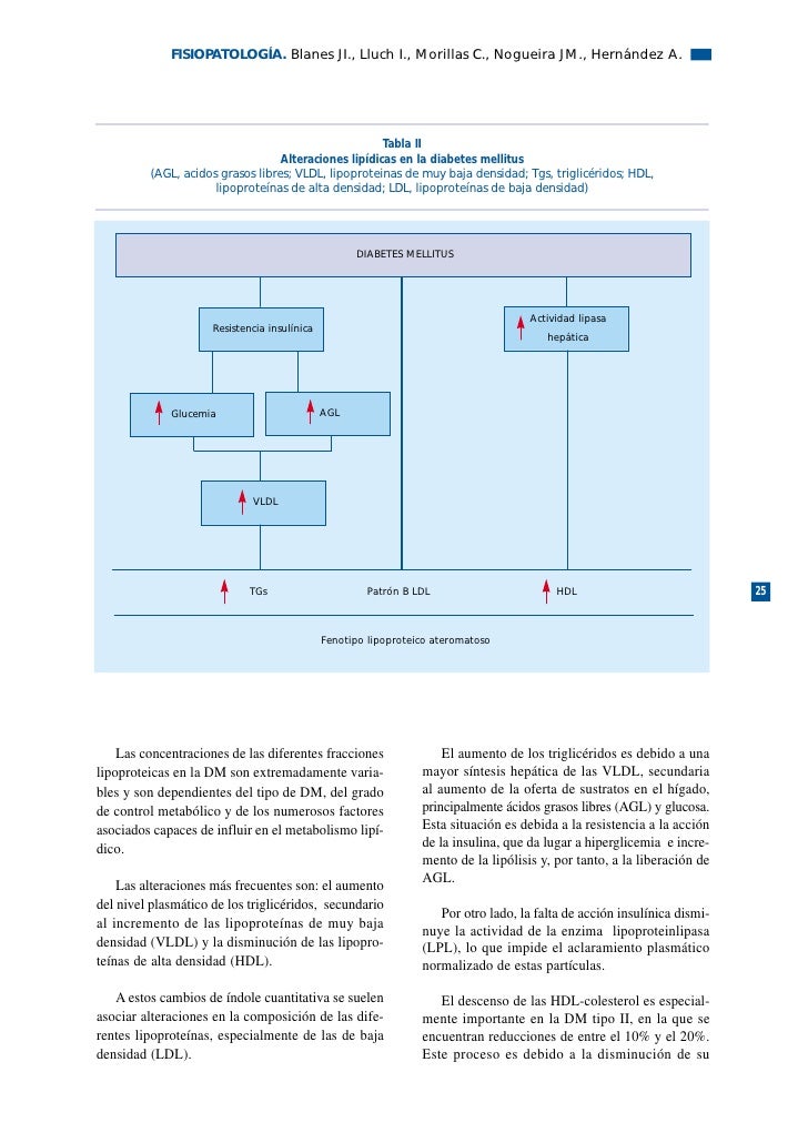 Capítulo II Fisiopatologia Del Pie Diabetico Capítulo II Fisiopatologia Del Pie Diabetico