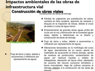 Impactos ambientales de las obras de
infraestructura vial
     Construcción de obras de obras de drenaje
                   Construcción
                                viales
                                     Pérdida de vegetación por putrefacción de raices,
                                      cambios en flora acuática: aparición de vectores y
                                      bloqueo en la migración de icticas, debido al cruce
                                      de estero o curso de agua menor.
                                     Empantamiento de grandes áreas aguas arriba del
                                      cruce con la vía y disminución de la humedad aguas
                                      abajo, debido a deficiencias en el diseño y
                                      construcción de obras de drenaje.

    Infraestructura vial             Flujo de tierra y lodos, debido a escorrentías o
                                      infiltración por represamiento de aguas.
                                       Alteraciones temporales en la morfología del curso
                                        de agua, desviaciones de su cauce, aporte de
                                        materiales de excavación al mismo drenaje, aprote
   Flujo de tierra y lodos, debido a
                                        de residuos de construcción, contaminación de
     escorrentías o infiiltración por
                                        aguas por residuos líquidos y sólidos de
       represamiento de aguas.
                                        trabajadores, afectación de fauna ictica, afectación
                                        de usuarios del recurso (consumo doméstico y
                                        fauna circundante), riego de cultivos cercanos al
                                        drenaje, debidos a la construcción de las obras 124
                                               23/11/2012                                 de
 