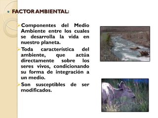    FACTOR AMBIENTAL:

     Componentes del Medio
      Ambiente entre los cuales
      se desarrolla la vida en
      nuestro planeta.
     Toda característica del
      ambiente,     que     actúa
      directamente sobre los
      seres vivos, condicionando
      su forma de integración a
      un medio.
     Son susceptibles de ser
      modificados.
 