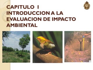 CAPITULO I
INTRODUCCION A LA
EVALUACION DE IMPACTO
AMBIENTAL
 