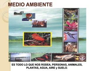 MEDIO AMBIENTE




 ES TODO LO QUE NOS RODEA, PERSONAS, ANIMALES,
          PLANTAS, AGUA, AIRE y SUELO.
 