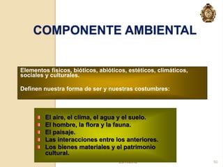 COMPONENTE AMBIENTAL


Elementos físicos, bióticos, abióticos, estéticos, climáticos,
sociales y culturales.

Definen nuestra forma de ser y nuestras costumbres:



         El aire, el clima, el agua y el suelo.
         El hombre, la flora y la fauna.
         El paisaje.
         Las interacciones entre los anteriores.
         Los bienes materiales y el patrimonio
         cultural.
                                    23/11/2012                   50
 