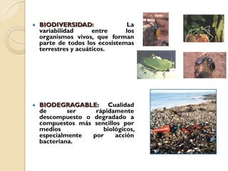    BIODIVERSIDAD:               La
    variabilidad      entre     los
    organismos vivos, que forman
    parte de todos los ecosistemas
    terrestres y acuáticos.




   BIODEGRAGABLE: Cualidad
    de       ser    rápidamente
    descompuesto o degradado a
    compuestos más sencillos por
    medios            biológicos,
    especialmente  por     acción
    bacteriana.
 