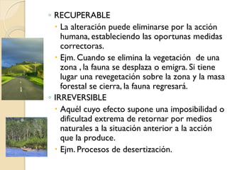 ◦ RECUPERABLE
   La alteración puede eliminarse por la acción
    humana, estableciendo las oportunas medidas
    correctoras.
   Ejm. Cuando se elimina la vegetación de una
    zona , la fauna se desplaza o emigra. Si tiene
    lugar una revegetación sobre la zona y la masa
    forestal se cierra, la fauna regresará.
◦ IRREVERSIBLE
   Aquél cuyo efecto supone una imposibilidad o
    dificultad extrema de retornar por medios
    naturales a la situación anterior a la acción
    que la produce.
   Ejm. Procesos de desertización.
 