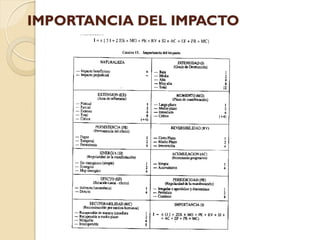 IMPORTANCIA DEL IMPACTO
 