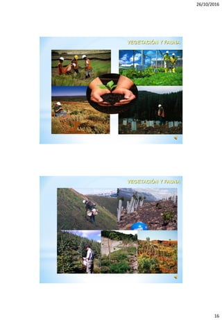 26/10/2016
16
VEGETACIÓN Y FAUNA
VEGETACIÓN Y FAUNA
 