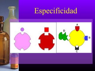 Especificidad
 