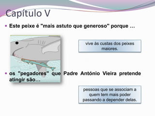 Capítulo V
 Este peixe é "mais astuto que generoso" porque …

vive às custas dos peixes
maiores.

 os "pegadores" que Padre António Vieira pretende

atingir são…
pessoas que se associam a
quem tem mais poder
passando a depender delas.

 