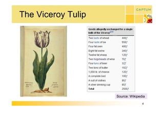 The Viceroy Tulip 




                     Source: Wikipedia

                                    4 
 