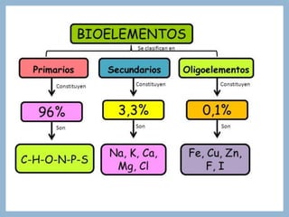 Bioquimica de la célula pdf de power point explicaso | PDF